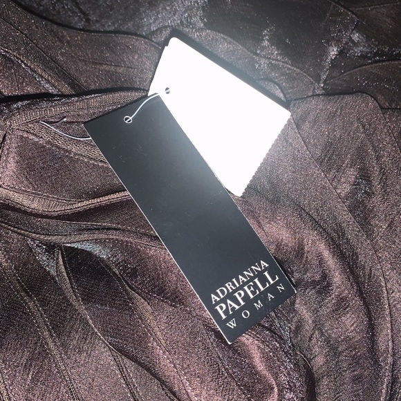 NWT ADRIANNA PAPELL dress size 14W - Picture 4 of 5